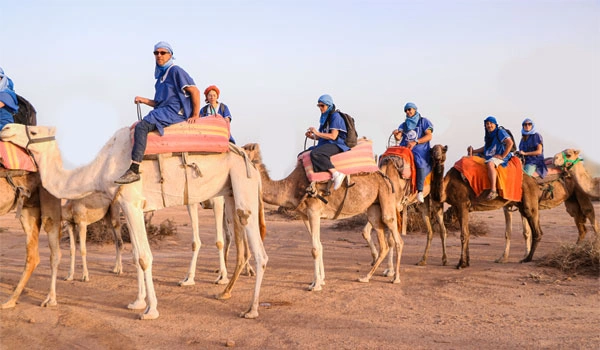 Agafay Desert Camel ride